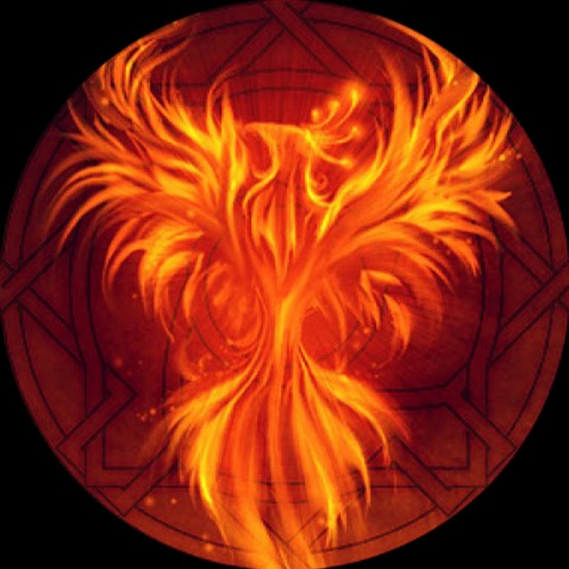 Fiery shield. Огненный Феникс. Огненный щит. Феникс на аву. Феникс аватар.